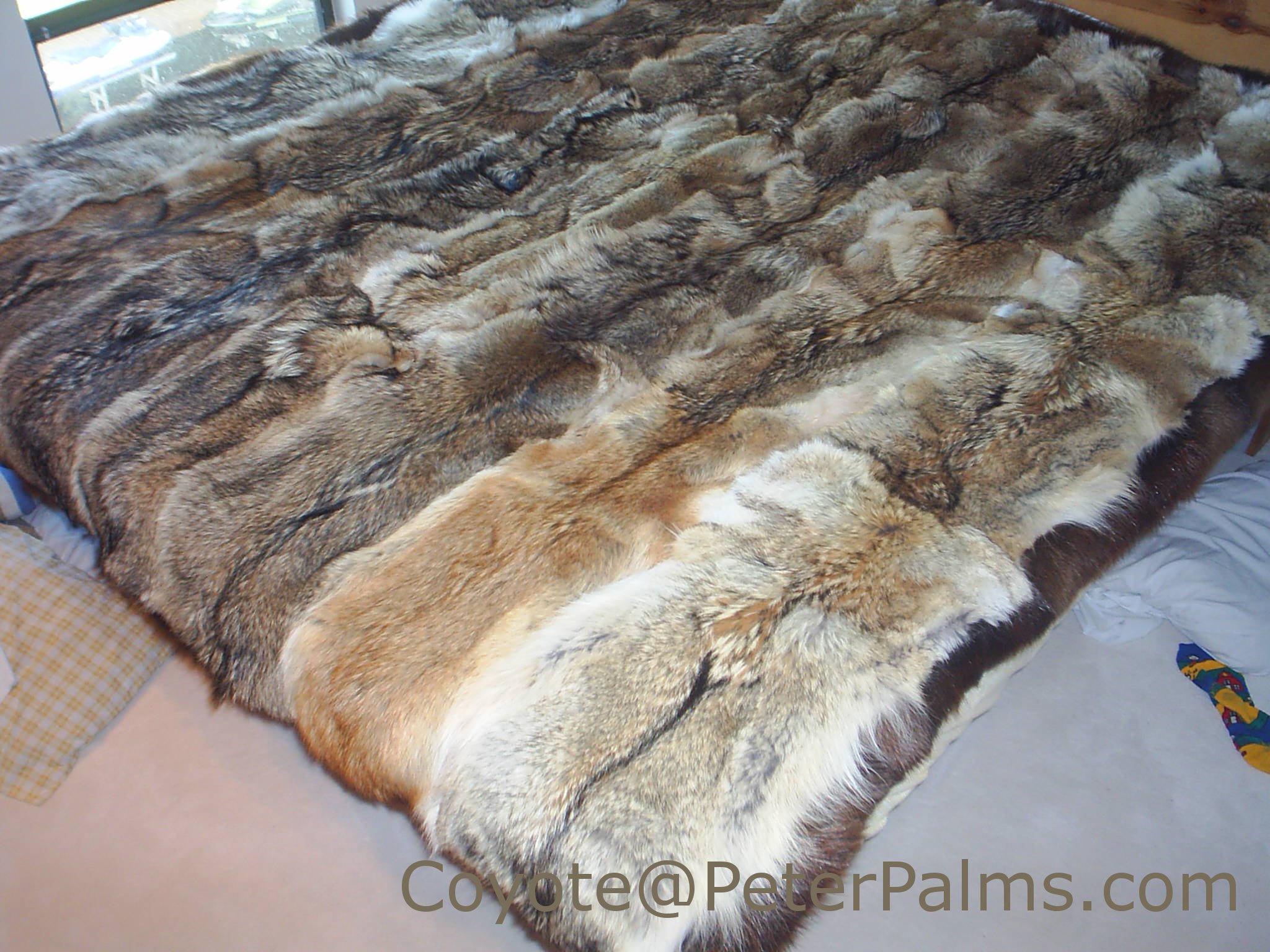 Coyote bedspread hotsell